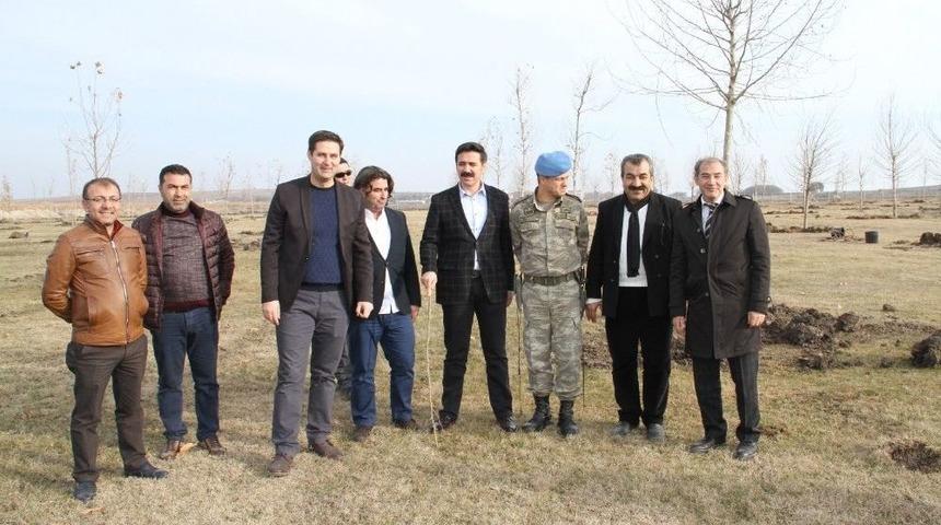 Bismil&rsquo;de 61 D&ouml;n&uuml;m Mesire Alanı Yapılıyor