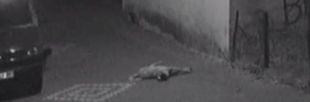 (&ouml;zel Haber) Sokak K&ouml;peğini Silahla Vurdular 2