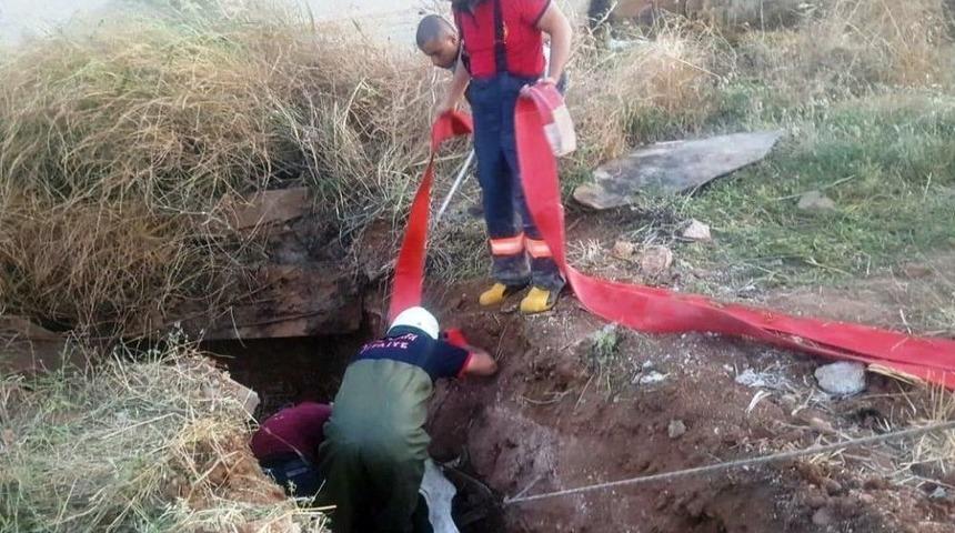 Foseptik &Ccedil;ukuruna D&uuml;şen İnek 3 Saatte Kurtarıldı