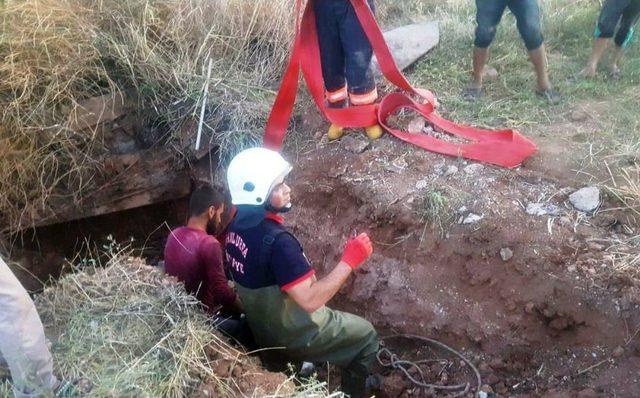 Foseptik Çukuruna Düşen İnek 3 Saatte Kurtarıldı