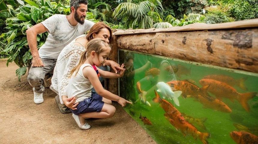 Büyükşehir’den İzmir’in Tanıtımı İçin 3 Milyon Lira