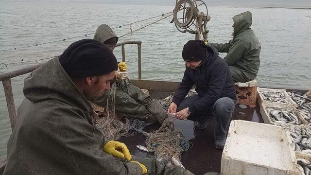 Van Gölü’nde Av Yasağı Başlıyor