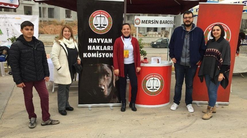 Avukatlar, Hayvanlara Eziyet Etmenin Cezai Yaptırımlarını Anlattı