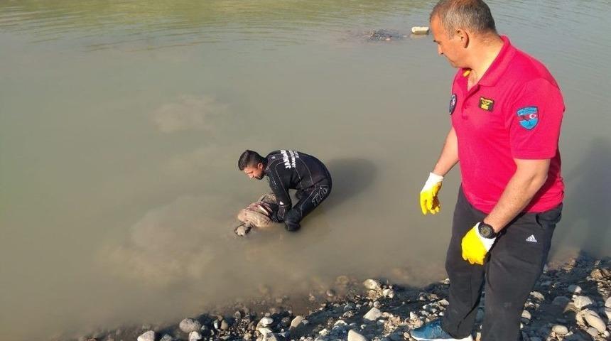 Kelkit &Ccedil;ayı&rsquo;na D&uuml;şen &Ccedil;ocuğun Cansız Bedeni Bulundu
