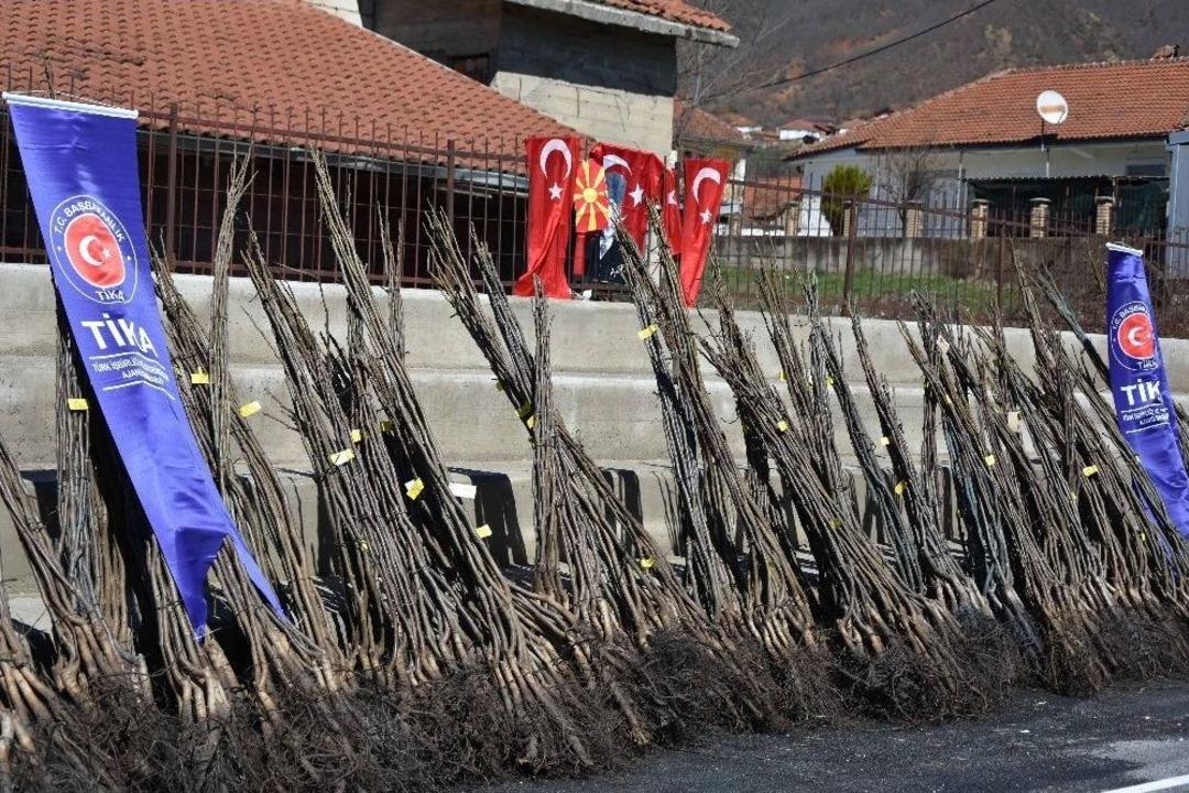 Tika&rsquo;dan Makedonya&rsquo;da Ceviz Yetiştiriciliğine Destek