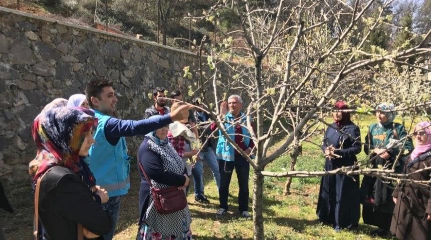 Meyvecilik Kursiyerleri Sahaya İndi