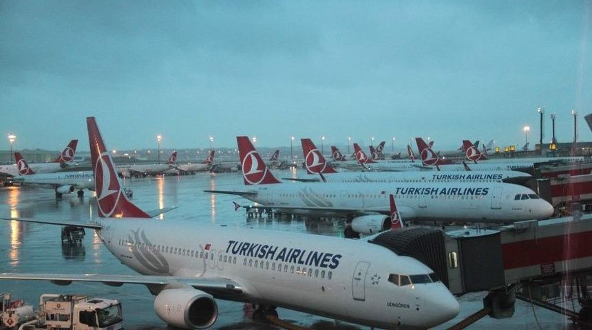 Hava Trafiğine Kuş Engeli