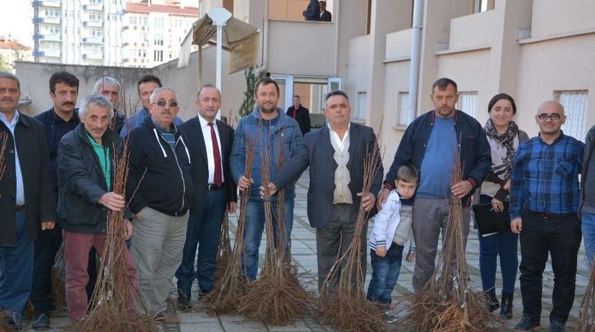 19 Mayıs&rsquo;ta &Ccedil;iftlere Kestane Bah&ccedil;esi