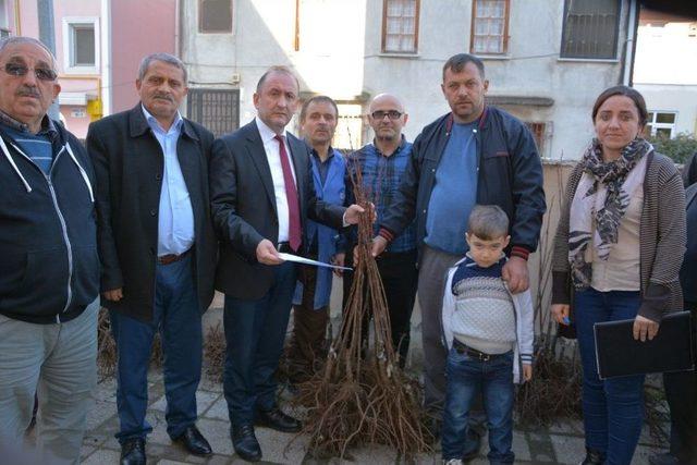 19 Mayıs’ta Çiftlere Kestane Bahçesi