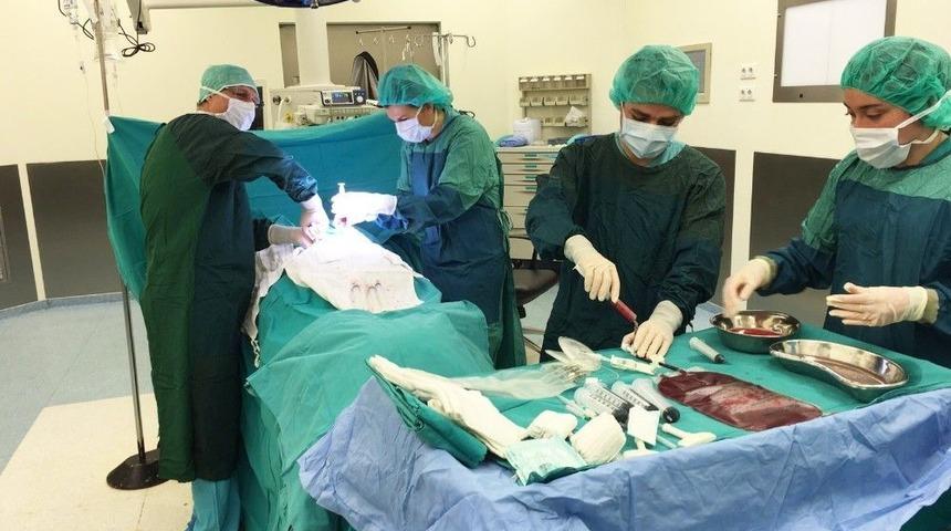 Uludağ &Uuml;niversitesi Organ Naklinde D&ouml;n&uuml;ş&uuml;me Hazırlanıyor