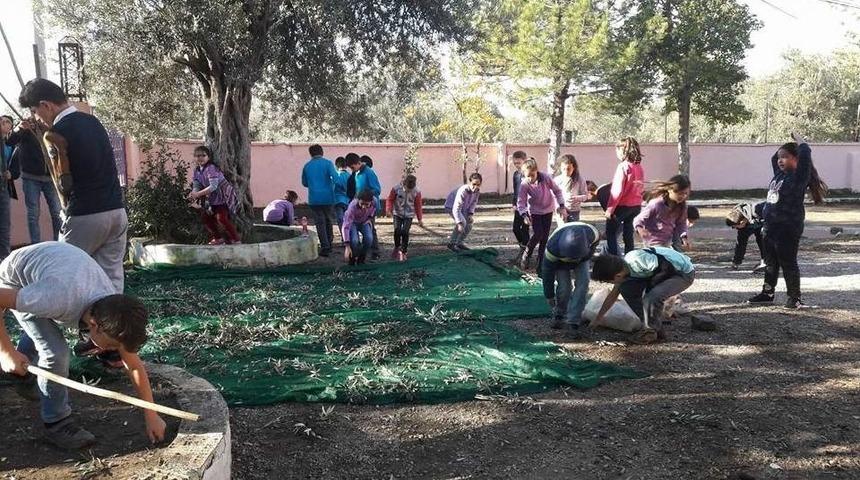 &Ouml;ğrenciler Zeytinyağı &Uuml;retip Kazandıkları Paralar İle Yardım Yaptılar