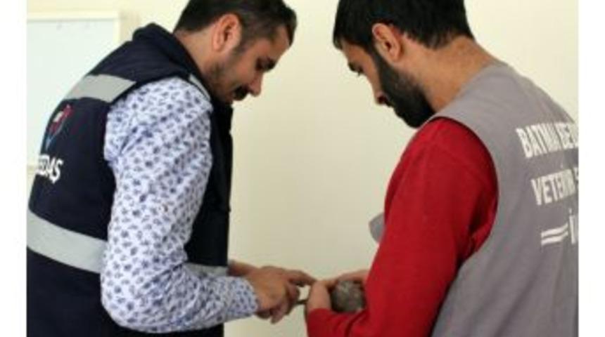 Kanadı Kırılan Kumruya Dicle Elektrik &Ccedil;alışanları Sahip &Ccedil;ıktı