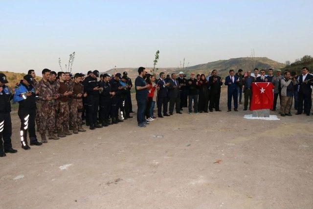 Zeytin Dalı Harekatı Şehitleri İçin ‘akçaağaç’ Dikildi