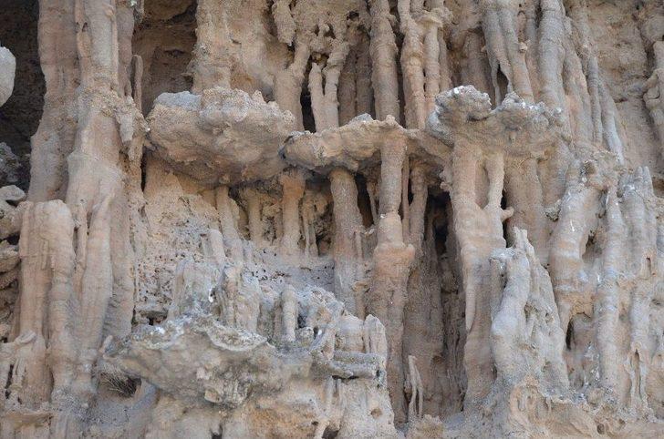 Adilcevaz’da Bulunan Mikrobiyalitler Koruma Altına Alınacak G5