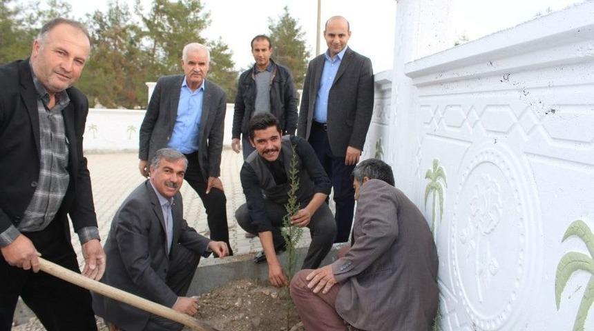 Samsat&rsquo;ta Prefabrik H&uuml;kumet Konağı &Ccedil;evresi Ağa&ccedil;landırıldı