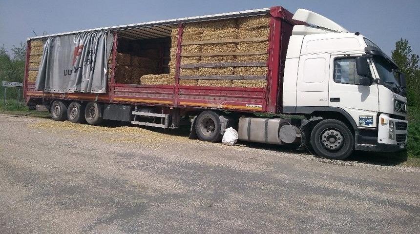 Trakya&rsquo;nın Samanı Ege&rsquo;nin G&ouml;z Bebeği