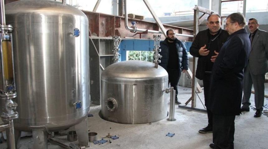 Rize Şekeri İ&ccedil;in Fabrika Kuruluyor