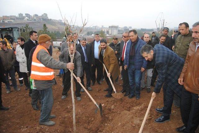 Çiftçi, Meclis Üyeleriyle Birlikte Ağaç Dikti