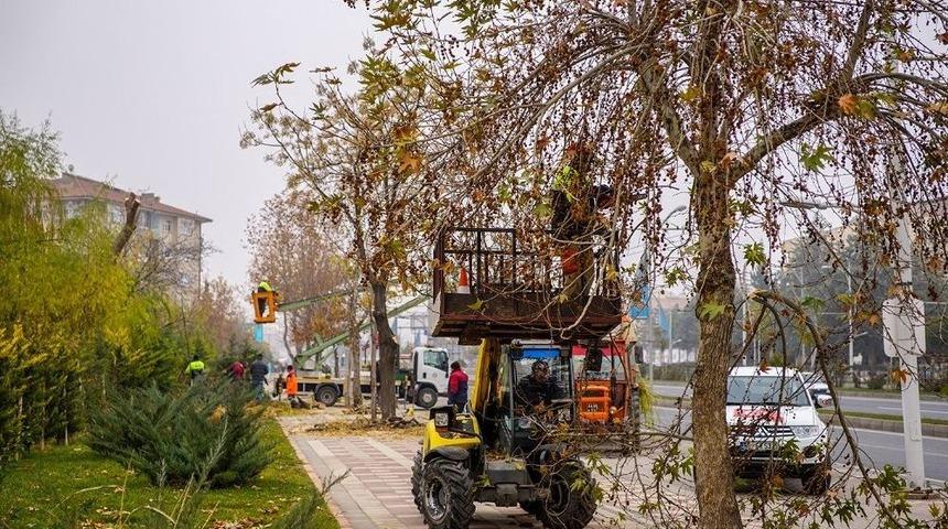 Malatya&rsquo;da Ağa&ccedil; Budama &Ccedil;alışmaları Devam Ediyor