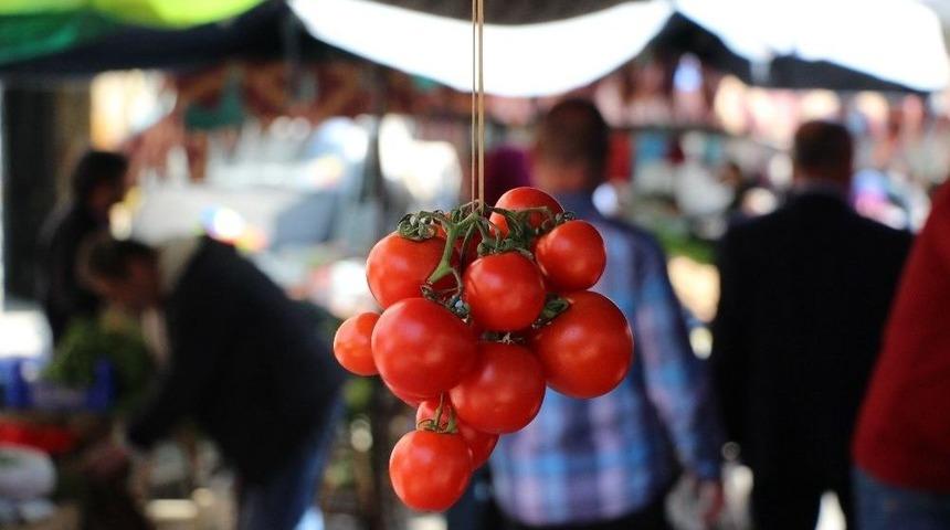 Pazarcının G&ouml;z&uuml; &Ccedil;arşamba Ve Bafra Ovalarında