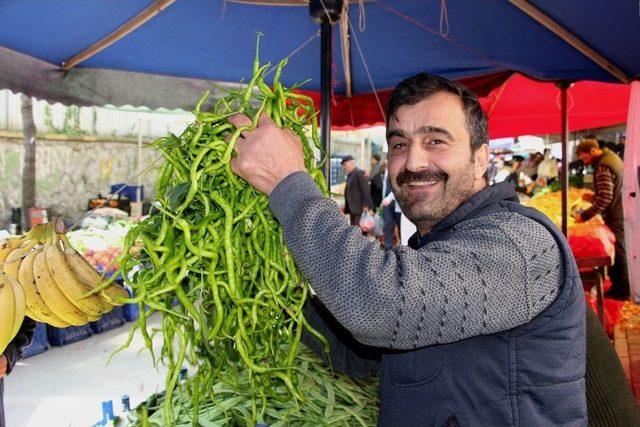 Pazarcının Gözü Çarşamba Ve Bafra Ovalarında