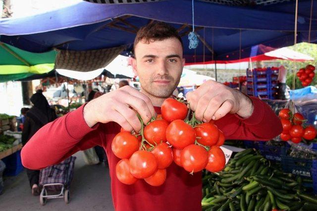 Pazarcının Gözü Çarşamba Ve Bafra Ovalarında