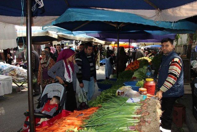 Pazarcının Gözü Çarşamba Ve Bafra Ovalarında