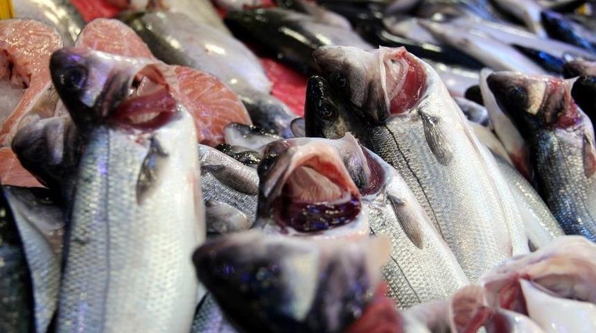 Balık&ccedil;ıların Hayali Bir Başka Sezona Kaldı