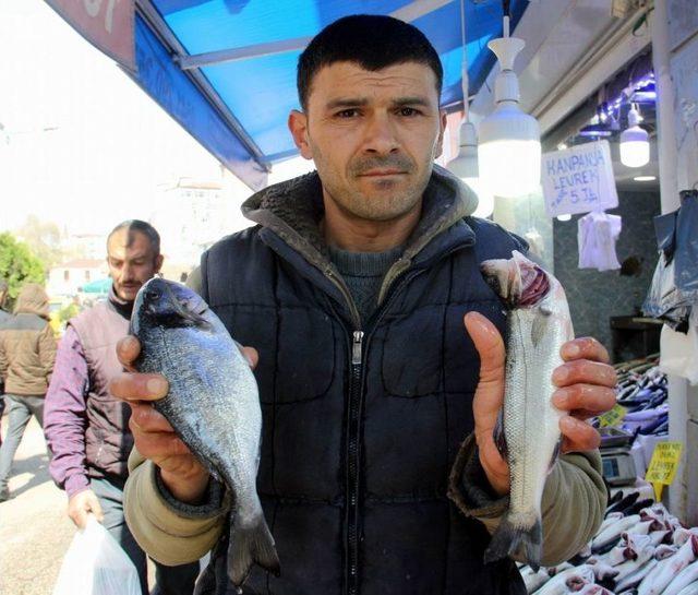 Balıkçıların Hayali Bir Başka Sezona Kaldı