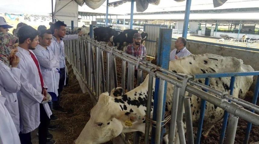 İslahiye Meslek Y&uuml;ksekokulu &Ouml;ğrencilerinden Teknik Gezi