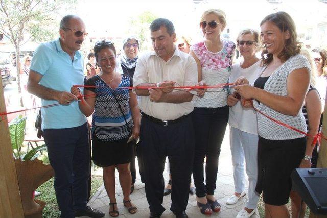 Sokak Hayvanları İçin Eğitim Parkı Hizmete Girdi