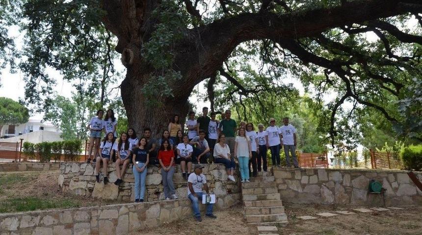 Kuşadası&rsquo;nda Anıt Ağa&ccedil; Ve T&uuml;ll&uuml;şah Vadisi Turu