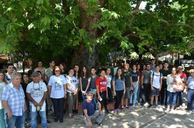 Kuşadası’nda Anıt Ağaç Ve Tüllüşah Vadisi Turu