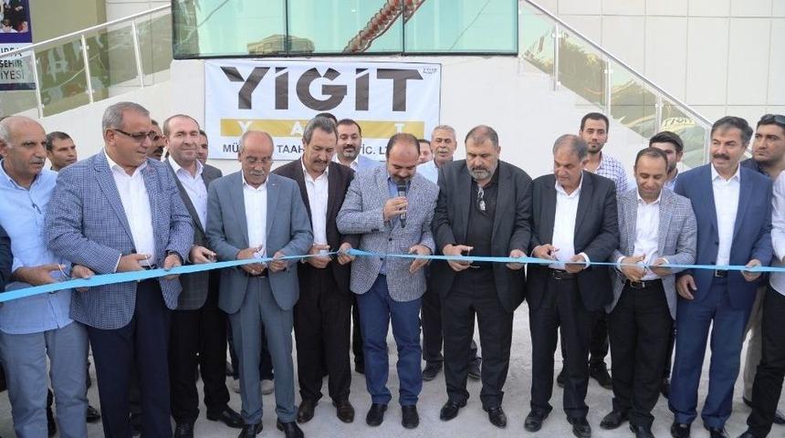 Yarı Olimpik Yüzme Havuzu Hizmete Sunuldu