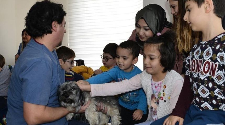 "sen De Bir Pati Sev" Projesi S&uuml;r&uuml;yor