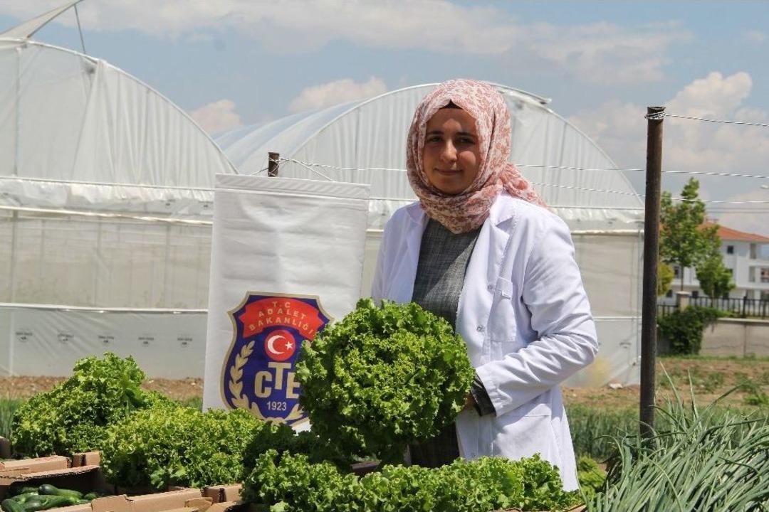 Mahkumlara Sebzeli Terapi