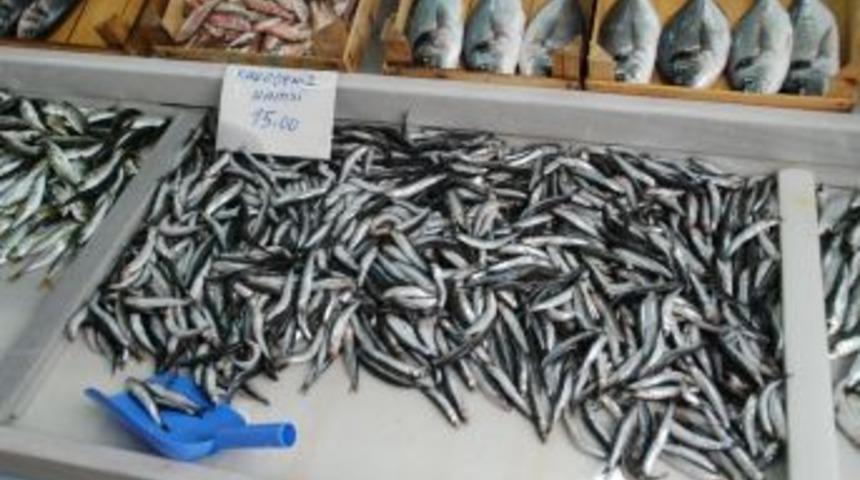 Hamsinin Ateşi Daha Da Yükselecek