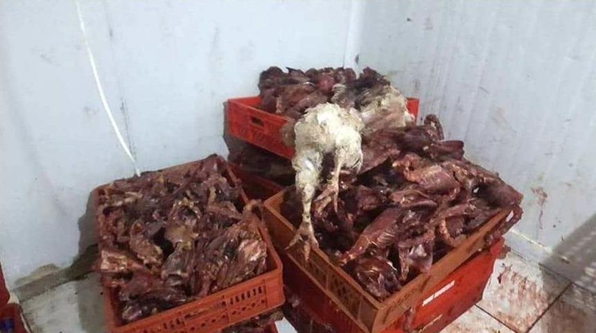 Suriyeli Kasabın Dükkanında Kaçak Et Yakalandı