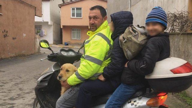 (özel) Motosiklette 3 İnsan Ve 1 Köpeğin Tehlikeli Yolcuğu