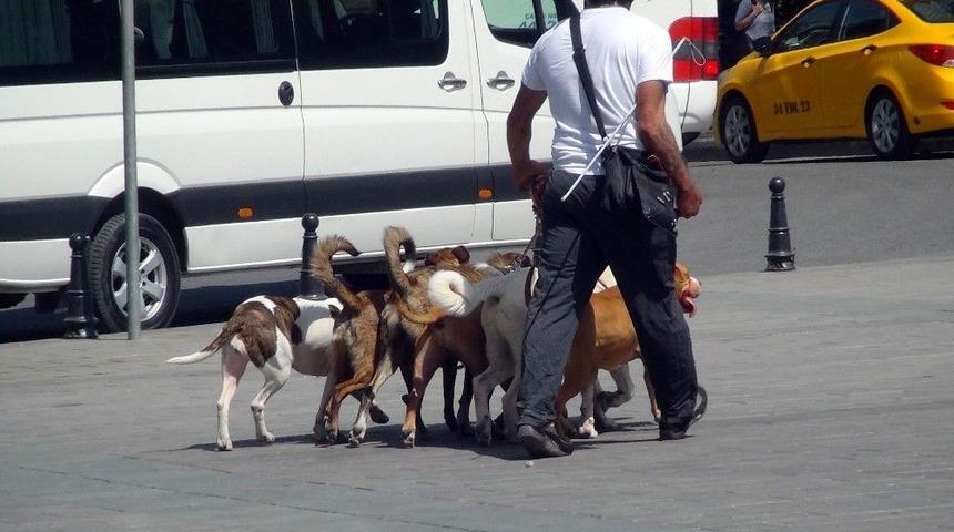 (&ouml;zel) Taksim&rsquo;de Tedbir Almadan K&ouml;pekleri Birbirine Bağlayan Vatandaş Pes Dedirtti