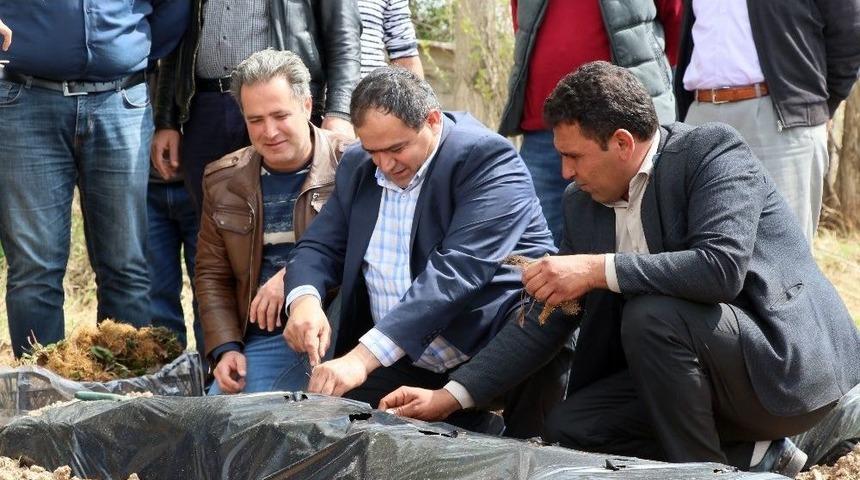 (&ouml;zel) Aksaray&rsquo;da &Ccedil;ilek, &Uuml;reticinin Y&uuml;z&uuml;n&uuml; G&uuml;ld&uuml;r&uuml;yor