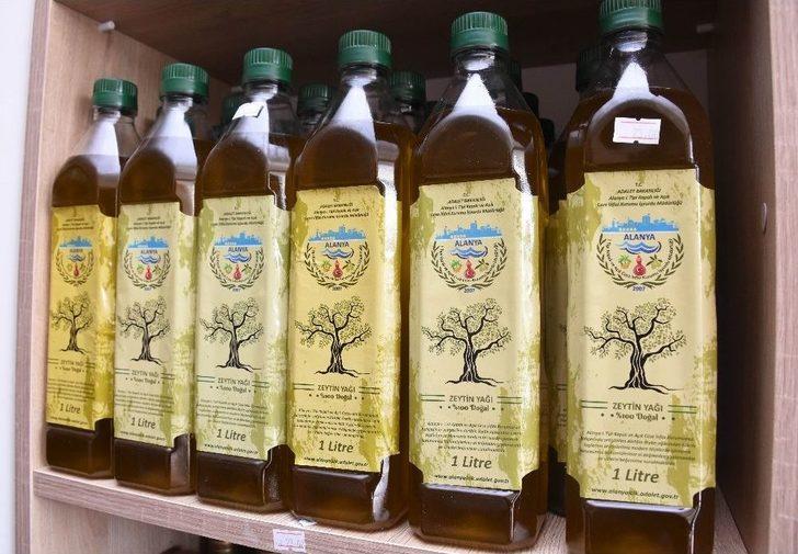 Alanya’dan Adana’ya 11 Yıllık Zeytin Hikayesi G1