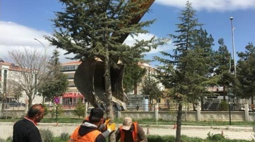 Ref&uuml;jdeki Ağa&ccedil;lar Hastane Bah&ccedil;esine Naklediliyor