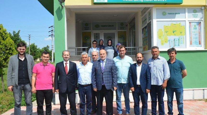 Ak Parti Milletvekili Adayı Ahmet Yelis: "mera Hayvancılığı Teşvik Edilmelidir"