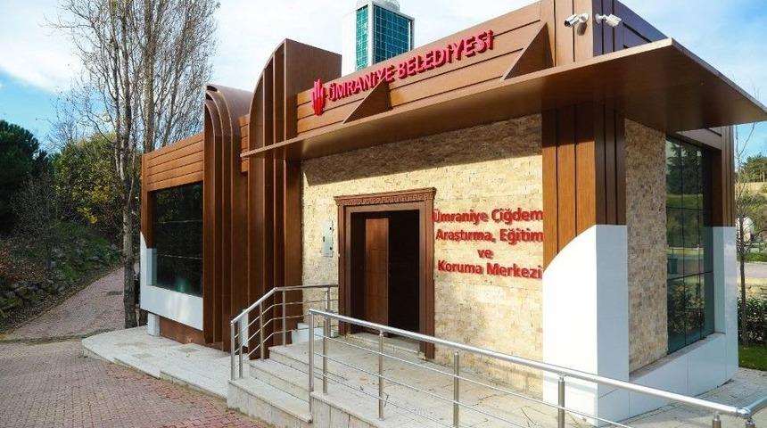 &Uuml;mraniye&rsquo;nin Endemik Bitkisi &Uuml;mraniye &Ccedil;iğdemi G&uuml;n Y&uuml;z&uuml;ne &Ccedil;ıkıyor