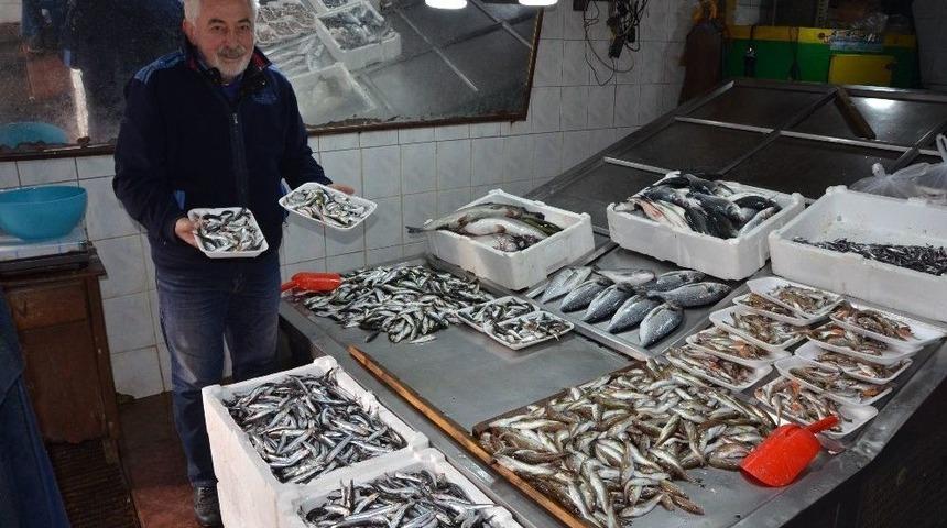 Hamsi Fındığı İkiye Katladı