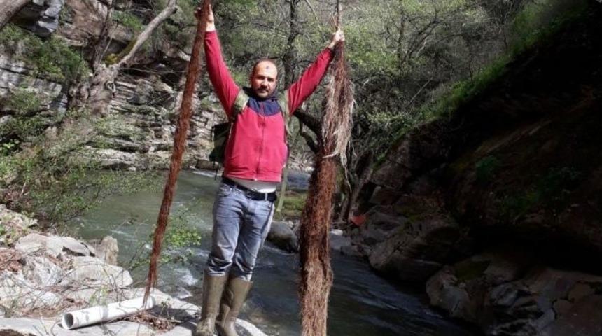 İ&ccedil;me Suyu Hattından 2 Metrelik Ağa&ccedil; K&ouml;k&uuml; &Ccedil;ıktı