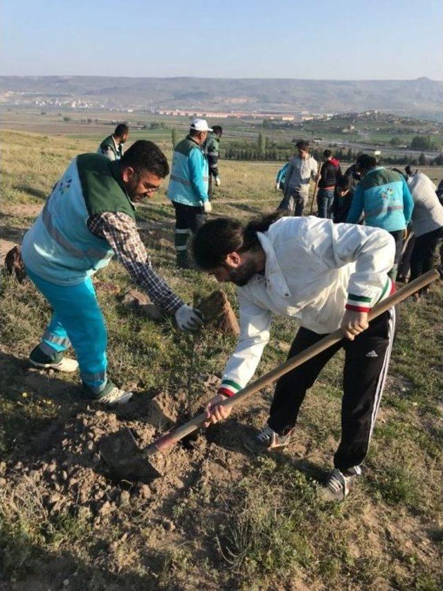 Kocasinan’ın Fidanlarını Bu Kez Doktor Adayları Toprakla Buluşturdu