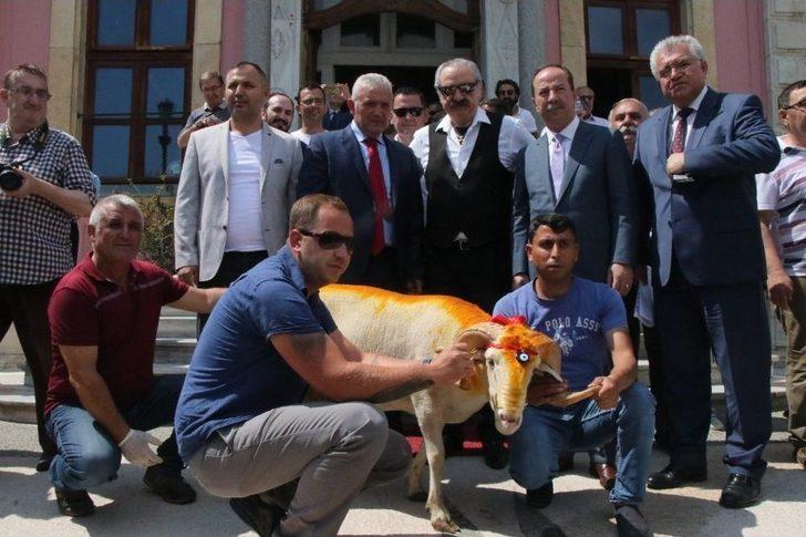 9’uncu Kez Kırkpınar’ın Ağası Oldu G2