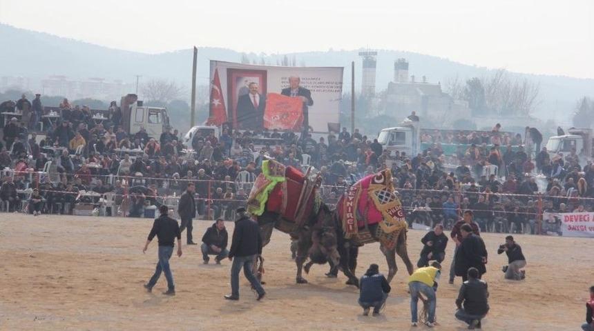 Burhaniye&rsquo;de &rsquo;zeytin Ve Zeytinyağı Hasat Festivali&rsquo;